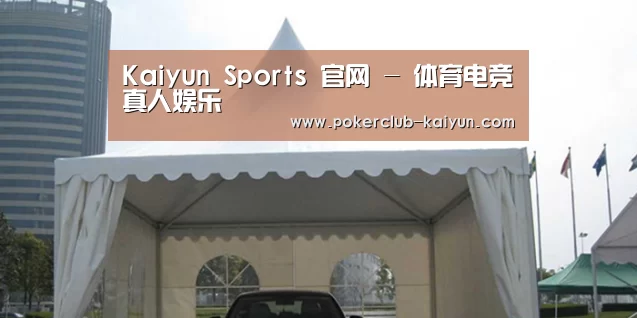 案例标题八
