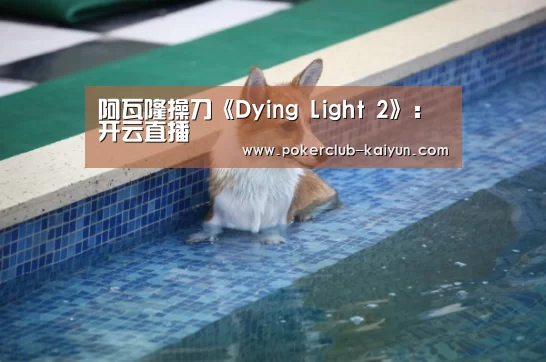 阿瓦隆操刀《Dying Light 2》:开云直播(图2) 开云竞猜