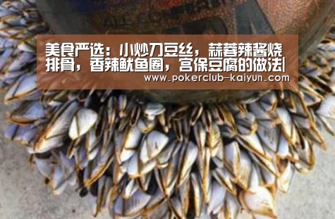 开云赛事